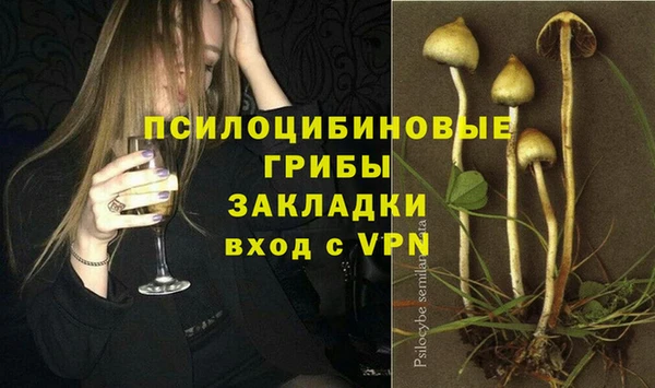соль ск Алзамай
