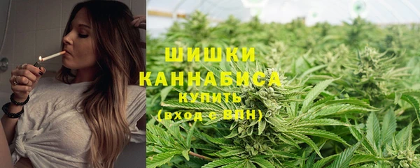 соль ск Алзамай